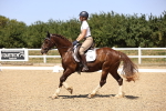 SBM_012051