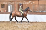 BPP_0248