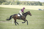 BVHT 140517  NXC -504