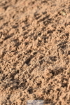 231028A-111558-00749