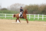 SBM_006619