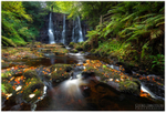 Ess na Crub, Glenariff Forest (IMG0807)