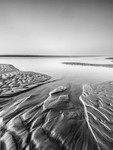 IMG_0547 v2 bw