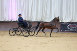 SBM_000608