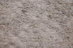 SBM_00516
