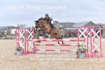 BPP_0731
