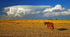 Horse & Storm Clouds 2