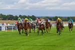 160724-Race 4-Jack Of Clubs-8988