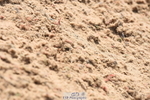 230915A-132916-00515
