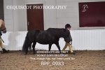 BPP_0983