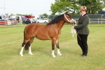 SBM_00419