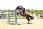 SBM_006014
