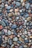 Tarbet Ness shore detail 2