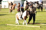 SBM_11180