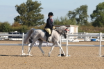 SBM_12211