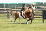 SBM_05216