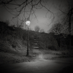 The Tarn Path Ilkley