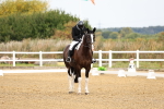 SBM_011415