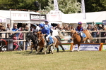 SBM_16679