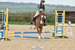 50-55cm Arena Eventing portfolio