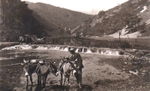 Dovedale 87