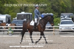 BPP_6262