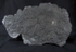 Sold crd015 Pentacrinites dichotomus