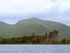 Kilchearn Castle and Loch Awe, 4