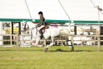 SBM_20115