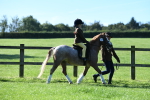 SBM_36706