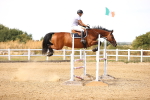 SBM_001054