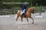 BPP_7247