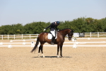SBM_004372