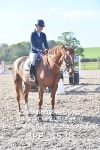 BPP_4528