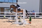 BPP_7296