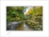 01 9x12 2022-545C Foleys Bridge Shimna River Tullymore Forest Co Down