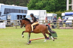 SBM_08613