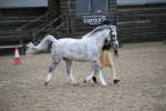 SBM_005964