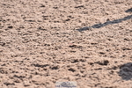 230606A-165155-00125