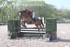 BPP_1795