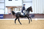 Class 31 - FEI GP INT II portfolio