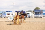 SBM_07347