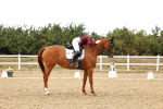 SBM_007678