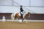 SBM_001480
