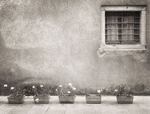 COURTYARD CA' POZZO