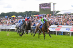 240824-Race 3-Breege-1429