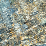 SPLASH #45 - BRUCE COUNTY