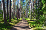 Taevaskoja, Estonia