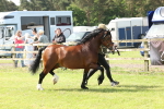 SBM_02206