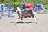 BPP_6754